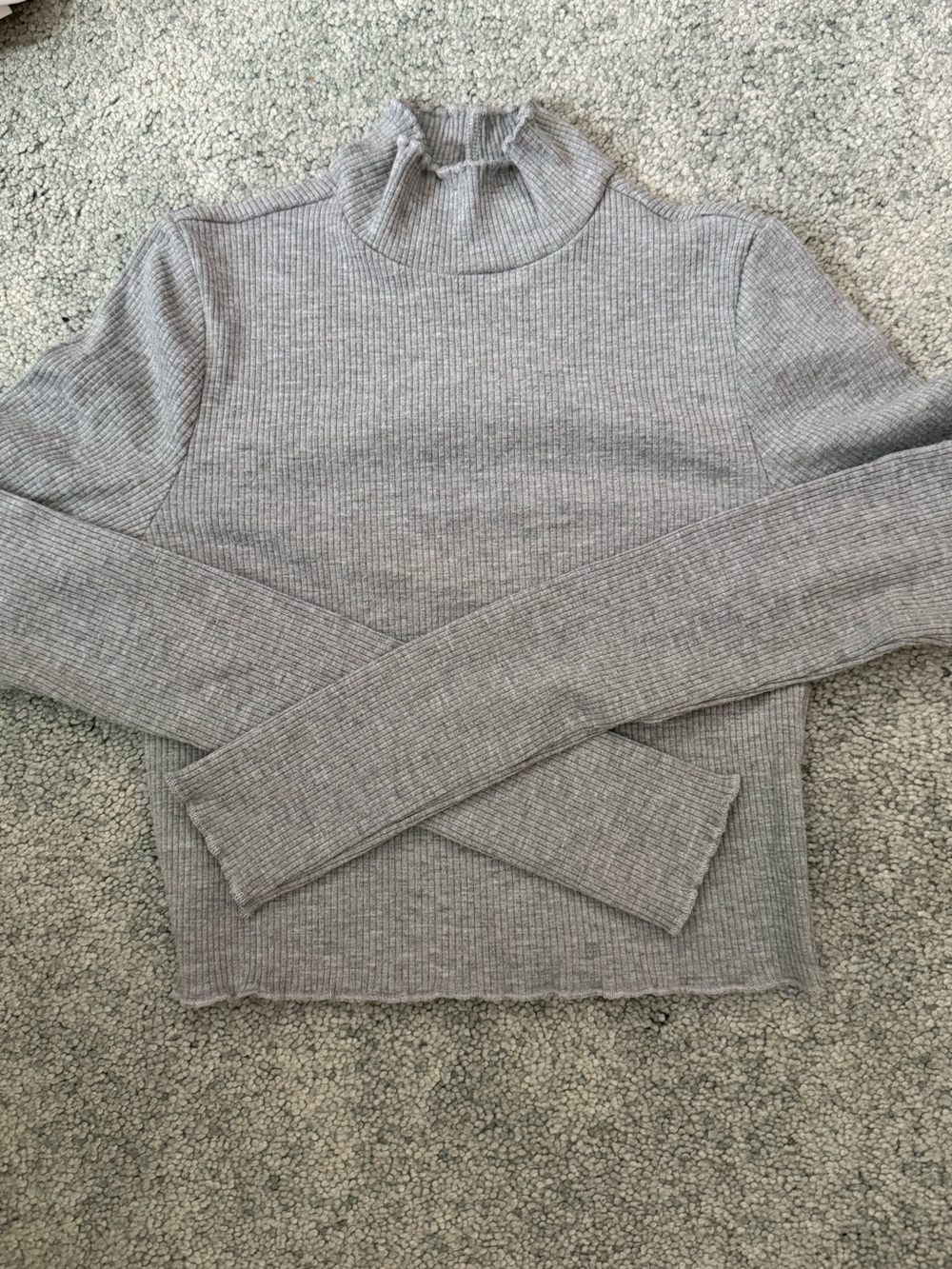 NWOT Aerie Cropped Turtle Neck
